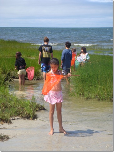 Danielle catching minnows
