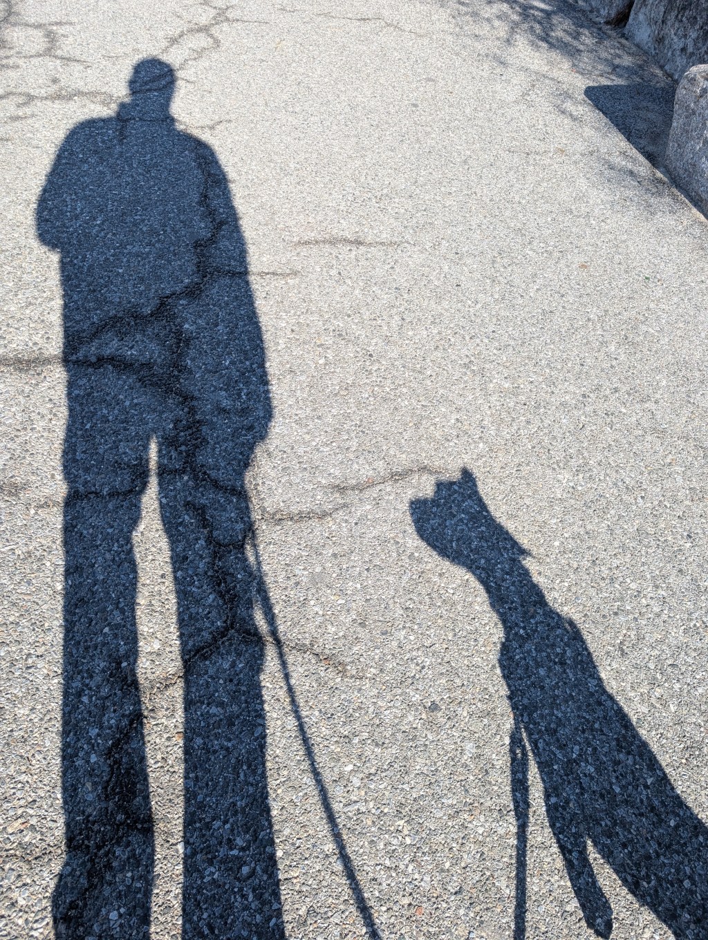 A Boy and his&nbsp;Dog